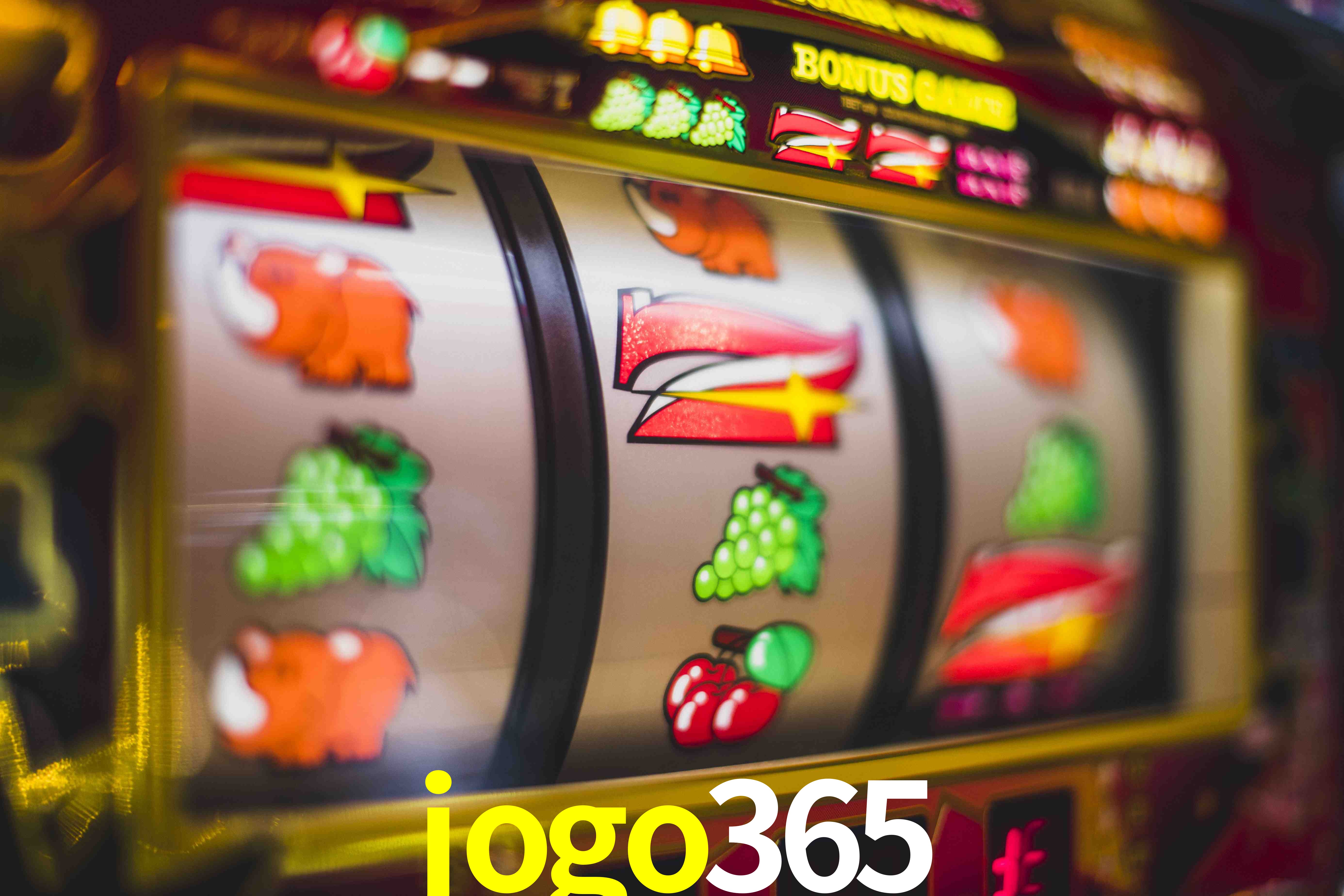 VIP Casino jogo365